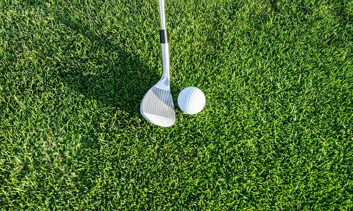 5 Best Golf Books for Beginners
