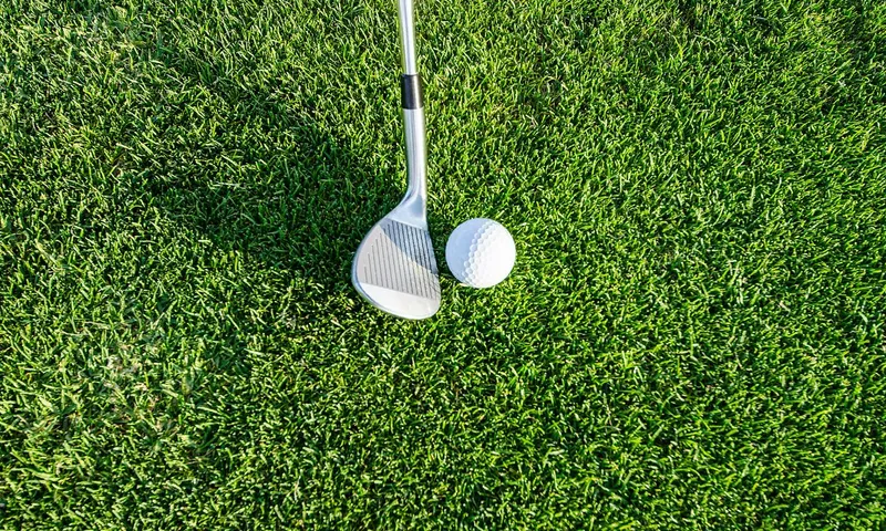 5 Best Golf Books for Beginners